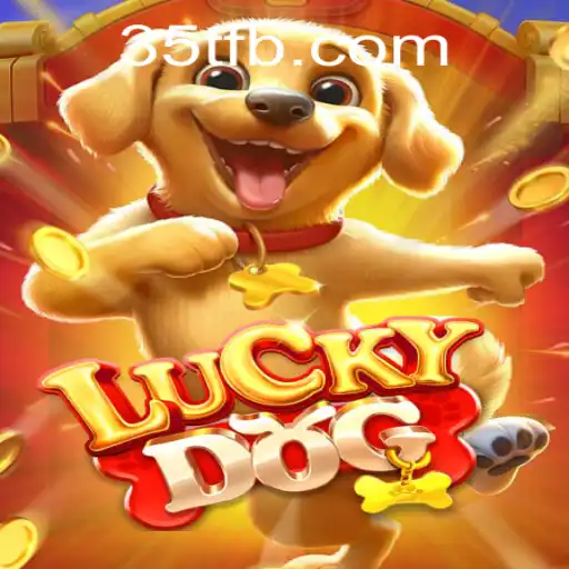 The Thrilling Adventure of LuckyDog and the Enigma of 35T